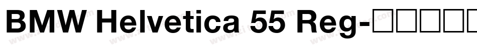 BMW Helvetica 55 Reg字体转换